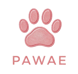 Pawae